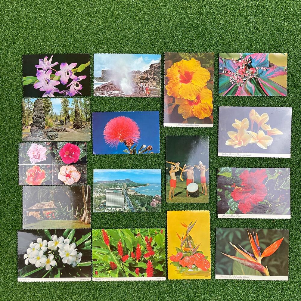 Vintage Lot of 16 Tropical Flowers Hawaiian Postcards